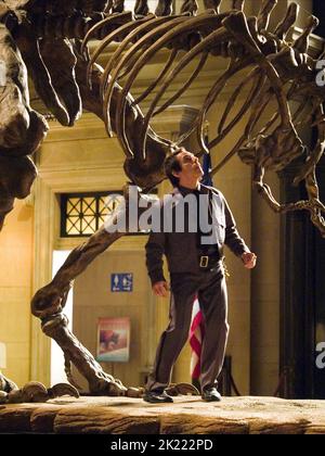 Dinosaurier Skelett, Ben Stiller, NACHTS IM MUSEUM, 2006 Stockfoto