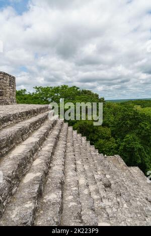 Blick über uralte Maya-Steinstufen auf das grüne Dschungeldach und den wolkigen Himmel in Calakmul, Mexiko Stockfoto