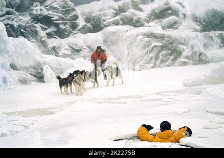 WALKER, GREENWOOD, ACHT UNTEN, 2006 Stockfoto