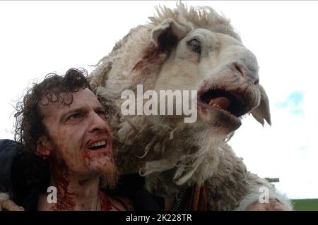 FAHRER, SCHAFE, SCHWARZE SCHAFE, 2006 Stockfoto