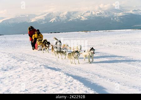 WALKER, GREENWOOD, ACHT UNTEN, 2006 Stockfoto