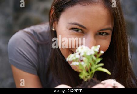 Lässt dieses Baby Pflanzen. Nahaufnahme einer jungen Frau, die eine Asylpflanze in der Hand hält. Stockfoto