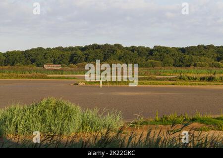 Blick aus dem Osten Verstecken des nach Dürre ausgetrockneten Kratzrestes, RSPB Minsmere Nature Reserve, Suffolk, England, August 2022 Stockfoto