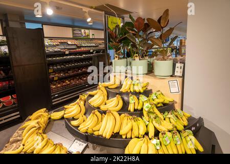 Bananen werden in einem australischen Supermarkt verkauft, der in Büschen im Fruchtgang in Sydney, Australien, ausgestellt wird Stockfoto