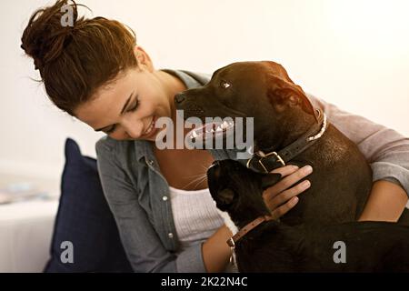 Es ist kein Zuhause ohne Pelzkinder. Eine hübsche junge Frau, die Zeit mit ihrer Katze und ihrem Hund verbringt. Stockfoto