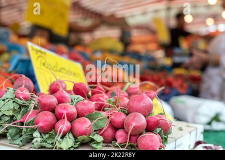 Ein Haufen Radieschen auf dem Marktplatz Stockfoto
