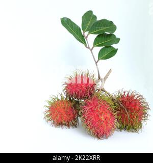 Ein Bund reifer Rambutanfrüchte mit isolierten Blättern auf weißem Hintergrund. Stockfoto