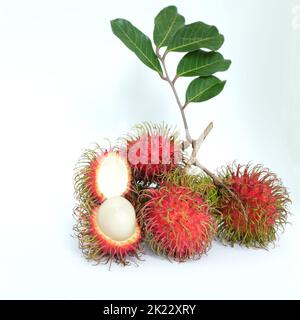 Ein Bund reifer Rambutanfrüchte mit isolierten Blättern auf weißem Hintergrund. Stockfoto