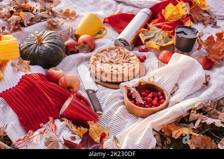 Herbstpicknick in der Natur. Kariert mit Apfelkuchen, Tassen von roter und gelber Farbe, Thermoskannen, Weißdornbeeren, Kürbis, Äpfel, Herbstliche Blätter. Zuletzt Stockfoto