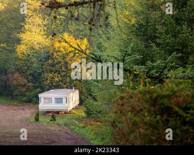 Hütte zu vermieten in einem Wald, kleines Haus für die Flucht in die Natur Stockfoto