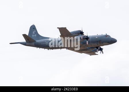 Royal Canadian Air Force Lockheed CP-140 Aurora Maritime Patrol Flugzeuge fliegen auf der Little Gransden Air and Car Show, Bedfordshire, Großbritannien. Stockfoto