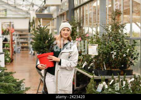 Eine Frau, die einen Weihnachtsbaum auf dem Markt kauft. Stockfoto