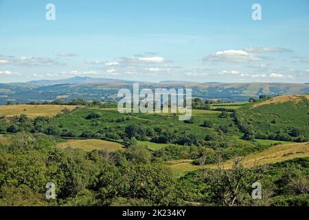 Blick nach Osten in Richtung Black Mountain und Llandeusant von Porth y Rhyd Llanwrda Carmarthenshire Wales Großbritannien im Sommer 2022 KATHY DEWITT Stockfoto