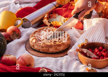 Herbstpicknick in der Natur. Man schneidet Apfelkuchen mit Messer neben Tassen mit roter und gelber Farbe, Thermoskannen, Weißdornbeeren, Kürbis, Äpfel, Herbst Stockfoto