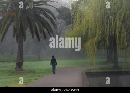 Frau, die im Nebel am Hamilton See (auch bekannt als Lake Rotoroa), Hamilton, Neuseeland, spaziert. Stockfoto
