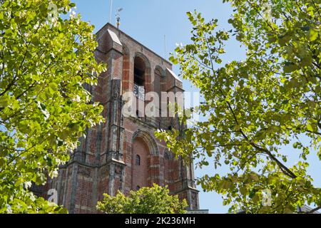 Blick auf De Oldehove im Sommer hinter Bäumen mit blauem Himmel. De Oldehove ist ein unvollendeter und schiefer Kirchturm im mittelalterlichen Zentrum von Leeuwarden Stockfoto