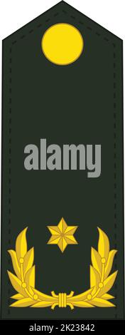 Schulterpolster NATO-Offizierszeichen für den Rang des BRIGADEGENERAAL (BRIGADIER GENERAL) in der königlichen niederländischen Armee Stock Vektor