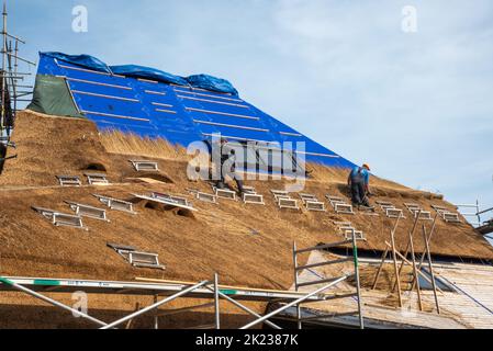 Den Helder, Niederlande. September 2022. Thatchers arbeiten an einem neuen Strohdach. Hochwertige Fotos Stockfoto