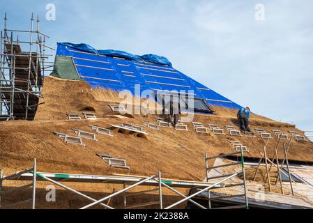 Den Helder, Niederlande. September 2022. Thatchers arbeiten an einem neuen Strohdach. Hochwertige Fotos Stockfoto