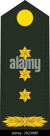 Schulterpolster NATO-Offizierszeichen für den KOLONEL (OBERST)-Rang in der königlichen niederländischen Armee Stock Vektor