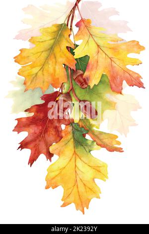 Farbenprächtiger Herbst mit Eichenlaub Ästen, Illustration Aquarell mit handgezeichnet. Geeignet für Dekorationen im Herbst, Grußkarten oder poste Stock Vektor