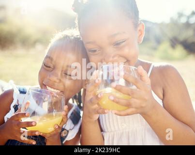 Saft, Kinder und glückliche Geschwister auf einem Picknick in fröhlicher Fürsorge und lächelnd in der Natur im Urlaub. Schwarze Kinder in einem gesunden Leben mit Lächeln Stockfoto