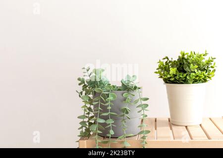 Künstliche Sukkulenten mit exotischen Pflanzen in weißen Keramiktöpfen auf einem Holztisch. Stockfoto