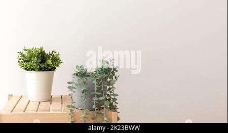 Verschiedene künstliche Sukkulenten mit exotischen Pflanzen in weißen Keramiktöpfen auf einem Holztisch. Stockfoto