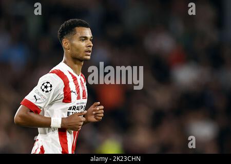 EINDHOVEN - Cody Gakpo vom PSV Eindhoven während des UEFA Champions League-Play-off-Spiels zwischen PSV Eindhoven und dem Rangers FC am 24. August 2022 im Phillips Stadium in Eindhoven, Niederlande. ANP | Dutch Höhe | Maurice van Steen Stockfoto