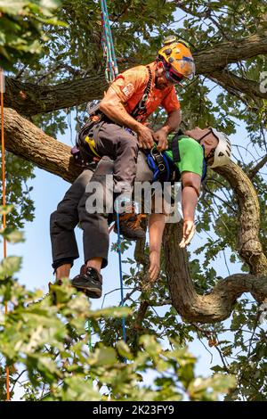 Detroit, Michigan - Professionelle Baumpfleger nehmen an der Michigan Tree Climbing Championship Teil. Bei diesem Event konkurrieren Kletterer um schnelle und sichere r Stockfoto