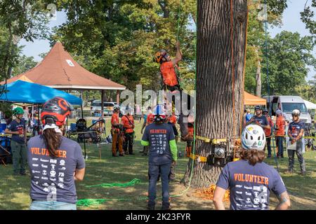 Detroit, Michigan - Professionelle Baumpfleger nehmen an der Michigan Tree Climbing Championship Teil. Stockfoto