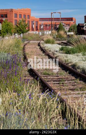 Evanston, Wyoming - die Gleise führen zu dem historischen Rundhaus und den Eisenbahnen, die 1912 von der Union Pacific Railroad erbaut wurden. Das Gebäude hatte 28 Buchten für ra Stockfoto