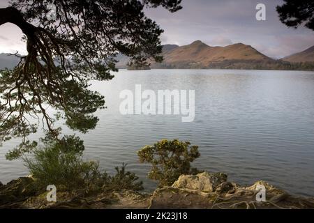 Der Kamm der Catbells blickte über Derwentwater von Friar's Crag in Keswick. Cumbria Stockfoto