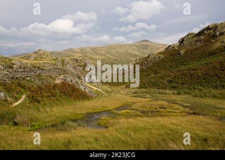 Alcock Tarn über Grasmere im Lake District ist ein hoher Berg tarn Stockfoto