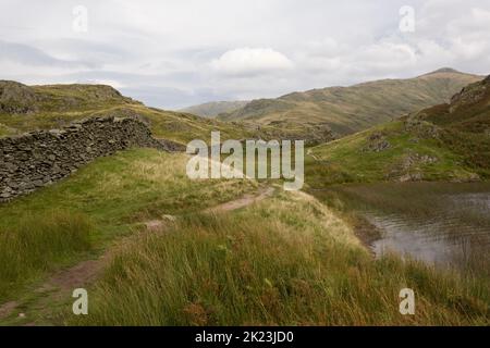 Alcock Tarn über Grasmere im Lake District ist ein hoher Berg tarn Stockfoto