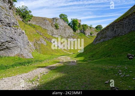 Schlängeliger, mit Felsen übersäten Pfad durch Cave Dale in der Nähe von Castleton. Stockfoto