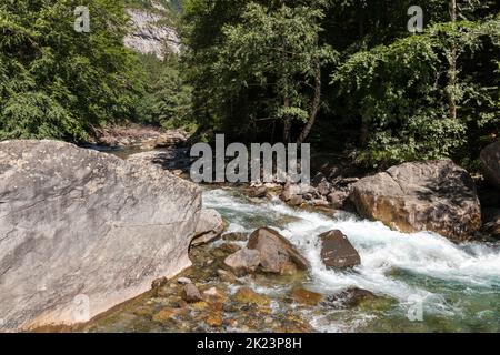 Panoramalandschaft mit kristallklarem Fluss, Steinen und hohen Bäumen in den Ordesa Pyrenäen. Reflexionen im Wasser und Funkeln der Sonne. Stockfoto