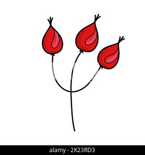 Hagebutten isoliert auf weißem Hintergrund. Vektor handgezeichnete Illustration im Cartoon-Stil. Für Ihr Projekt, Karten, Logo, Dekorationen. Stock Vektor