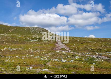 Stadjan, Schweden - 22. August 2022: Wanderweg im Naturschutzgebiet Stadjan Nipfjallet Stockfoto