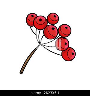Rowan-Baum-Zweig mit Beeren. Vektorgrafik isoliert auf weißem Hintergrund, Cartoon-Stil Stock Vektor