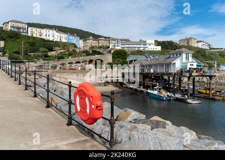 Ventnor auf der Isle of Wight, Anlegesteg mit roter Rettungsboje im Vordergrund und Haven-Fischerei auf der rechten Seite. Lokale Gebäude auf der anderen Seite des Hügels. Stockfoto