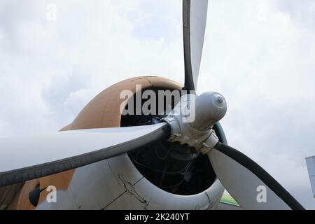 Nahaufnahme von Motor und Propeller des Oldtimer-Flugzeugs. Stockfoto