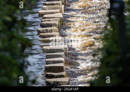 Nahaufnahme der Trittsteine über den Fluss Wharfe, Yorkshire, Großbritannien Stockfoto