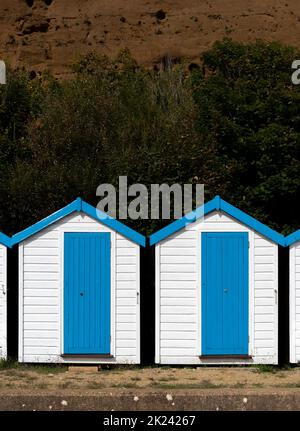 Leuchtend blaue und weiße Strandhütten heben sich von dunklem Laub hinter ihnen an einem englischen Strand ab. Stockfoto