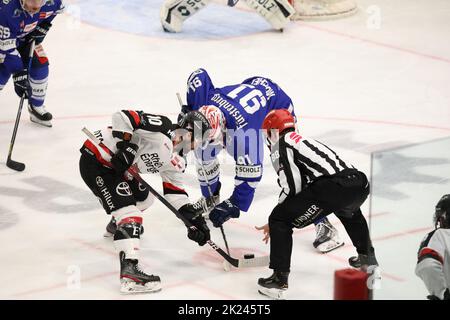 Bully vs Jon Matumoto (Kölner Haie) und Marius Möchel (SERC Wild Wings) beim Spiel der DEL, 40. Sptg.: SERC Wild Wings gegen Kölner Haie Stockfoto