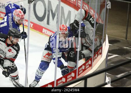 Umkämpfte Partie: Duell an der Bande vs Peter Spornberger (SERC Wild Wings) und Maximilian Glötzl (Kölner Haie) im Spiel der DEL, 40. Sptg.: SERC Wild Stockfoto