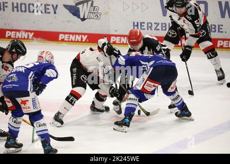 Umkämpftes Bully beim Spiel der DEL, 40. Sptg.: SERC Wild Wings gegen Kölner Haie Stockfoto