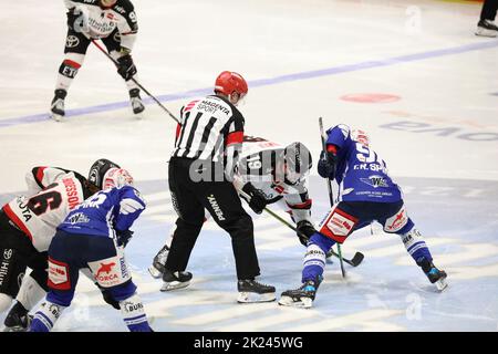 Bully vs. Maximilian Kammerer (Kölner Haie) und Tylor Spink (SERC Wild Wings) beim Spiel der DEL, 40. Sptg.: SERC Wild Wings gegen Kölner Haie Stockfoto