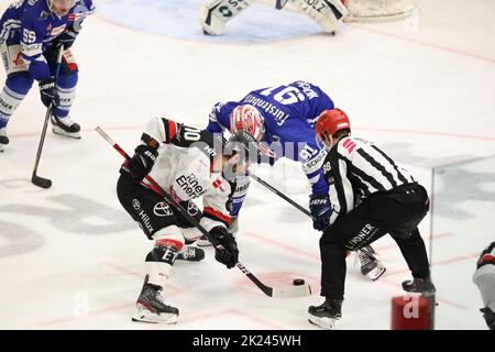 Bully vs Jon Matumoto (Kölner Haie) und Marius Möchel (SERC Wild Wings) beim Spiel der DEL, 40. Sptg.: SERC Wild Wings gegen Kölner Haie Stockfoto