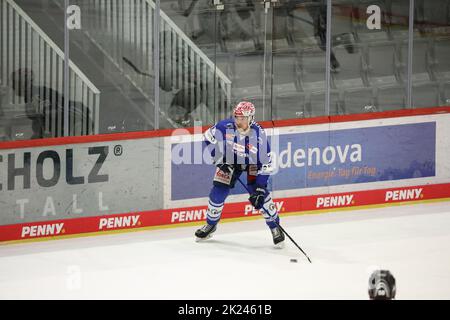 Will Weber (SERC Wild Wings) beim Spiel der DEL, 40. Sptg.: SERC Wild Wings gegen Kölner Haie Stockfoto